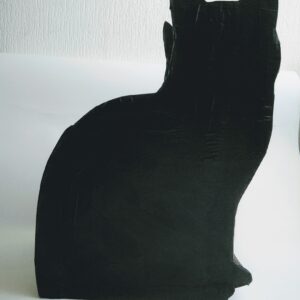 Maison pour chat noir